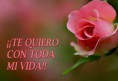 /album/fotogaleria-frases/postales-de-amor-jpg/